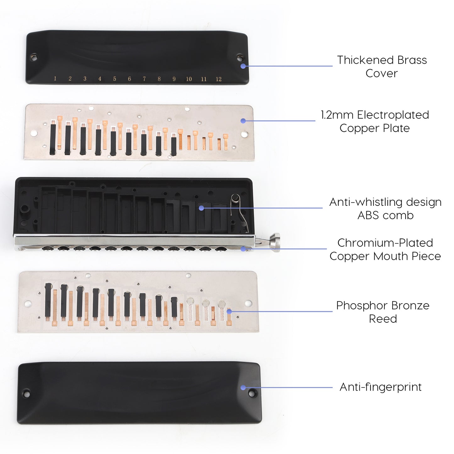 GM0648 chromatic harmonica features phosphor bronze reeds, durable valves, a copper-chromed mouthpiece, waterproof ABS comb with anti-whistling 4th hole.