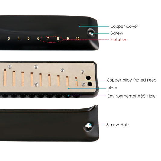 JDR Ninja Harmonica uses sensitive phosphor bronze reeds on a 1.2mm plate for rich tone and airtightness. Its rounded ABS comb aids high-pitch clarity.