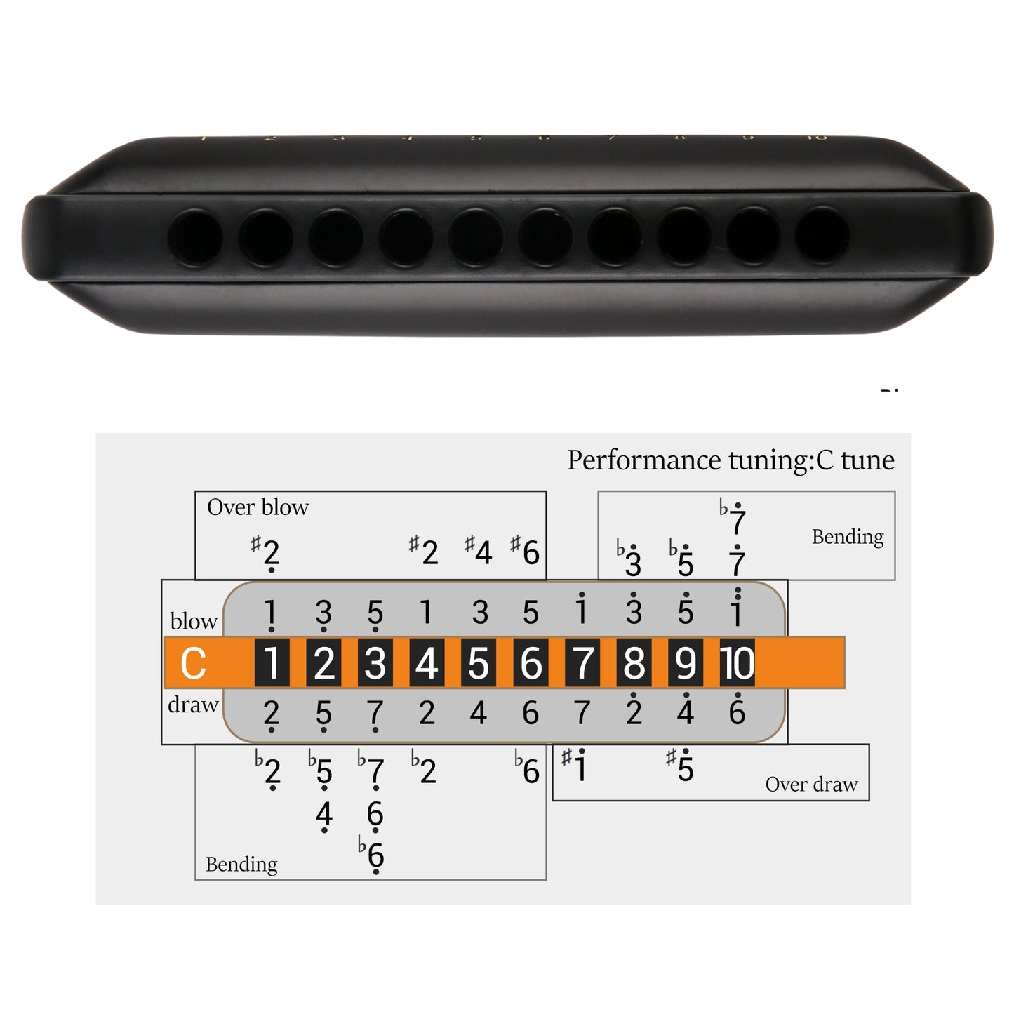 JDR Ninja Harmonica uses sensitive phosphor bronze reeds on a 1.2mm plate for rich tone and airtightness. Its rounded ABS comb aids high-pitch clarity.