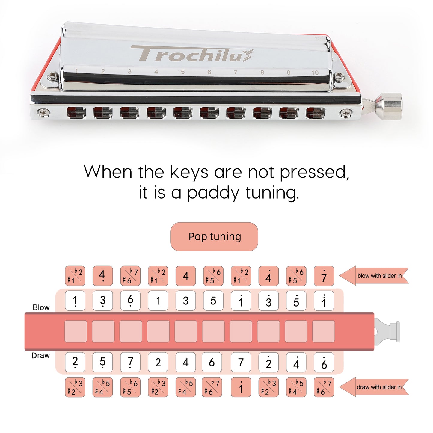 Trochilus Valveless chromatic harmonica with Pop tuning. Compact, bendable, and ideal for all levels. Includes case and cleaning cloth key of C/G/A/Bb