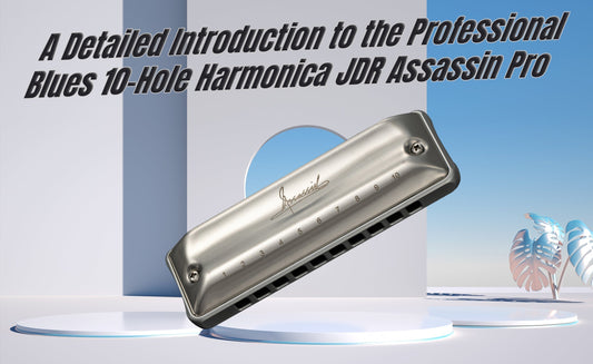 A Detailed Introduction to the Professional Blues 10-Hole Harmonica JDR Assassin Pro