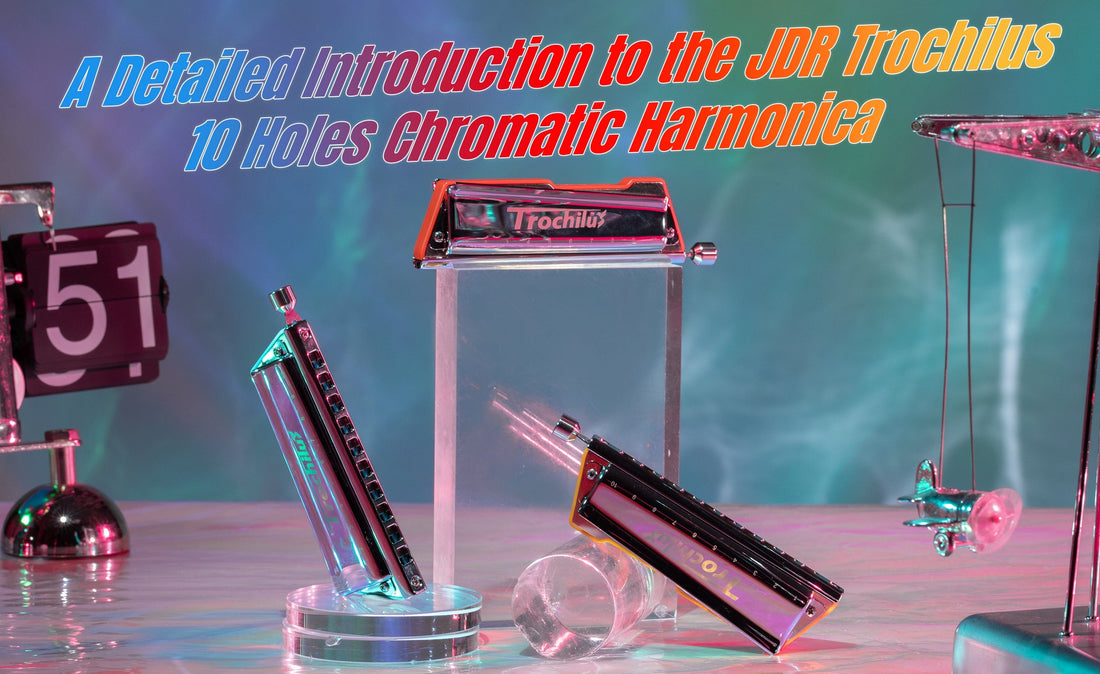 A Detailed Introduction to the JDR Trochilus 10 Holes Chromatic Harmonica