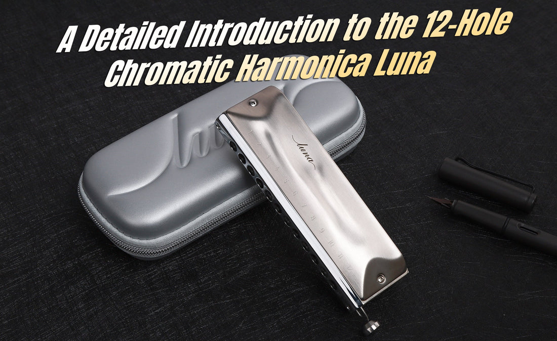 A Detailed Introduction to the 12-Hole Chromatic Harmonica Luna
