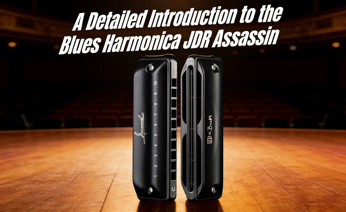 A Detailed Introduction to the Professional Blues 10-Hole Harmonica JDR Assassin