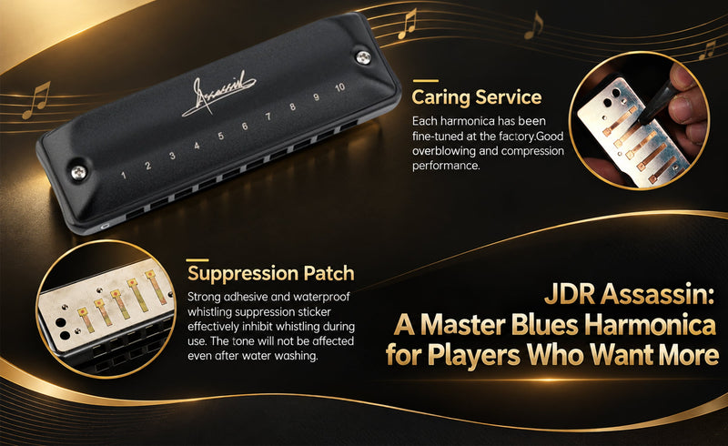 JDR Assassin: A Master Blues Harmonica for Players Who Want More
