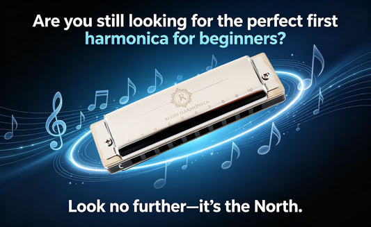 The Perfect First Harmonica for Every Beginner-JDR North 10-Hole Blues Harmonica