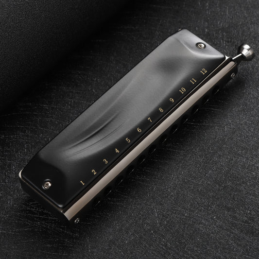 JDR GM0648 Chromatic Harmonica C Key 12-Hole 48 Tones Chromatic Mouth Organ Harp Key of C for Kids Beginner Adults Professional Player Parents (Black)