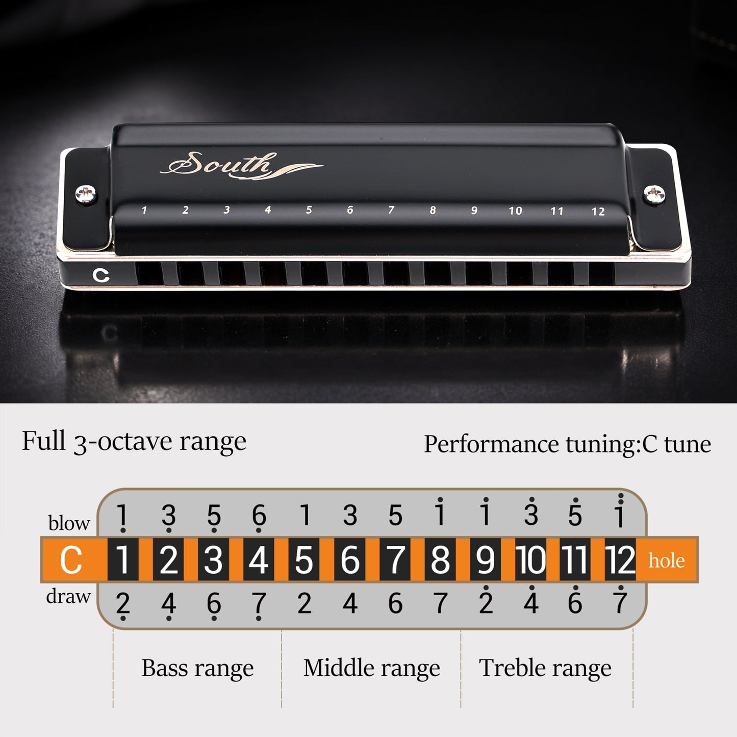 JDR South Harmonica 12 Holes 24 Tones, No Bending Required for Full Scale, Easy for Beginners(Black)