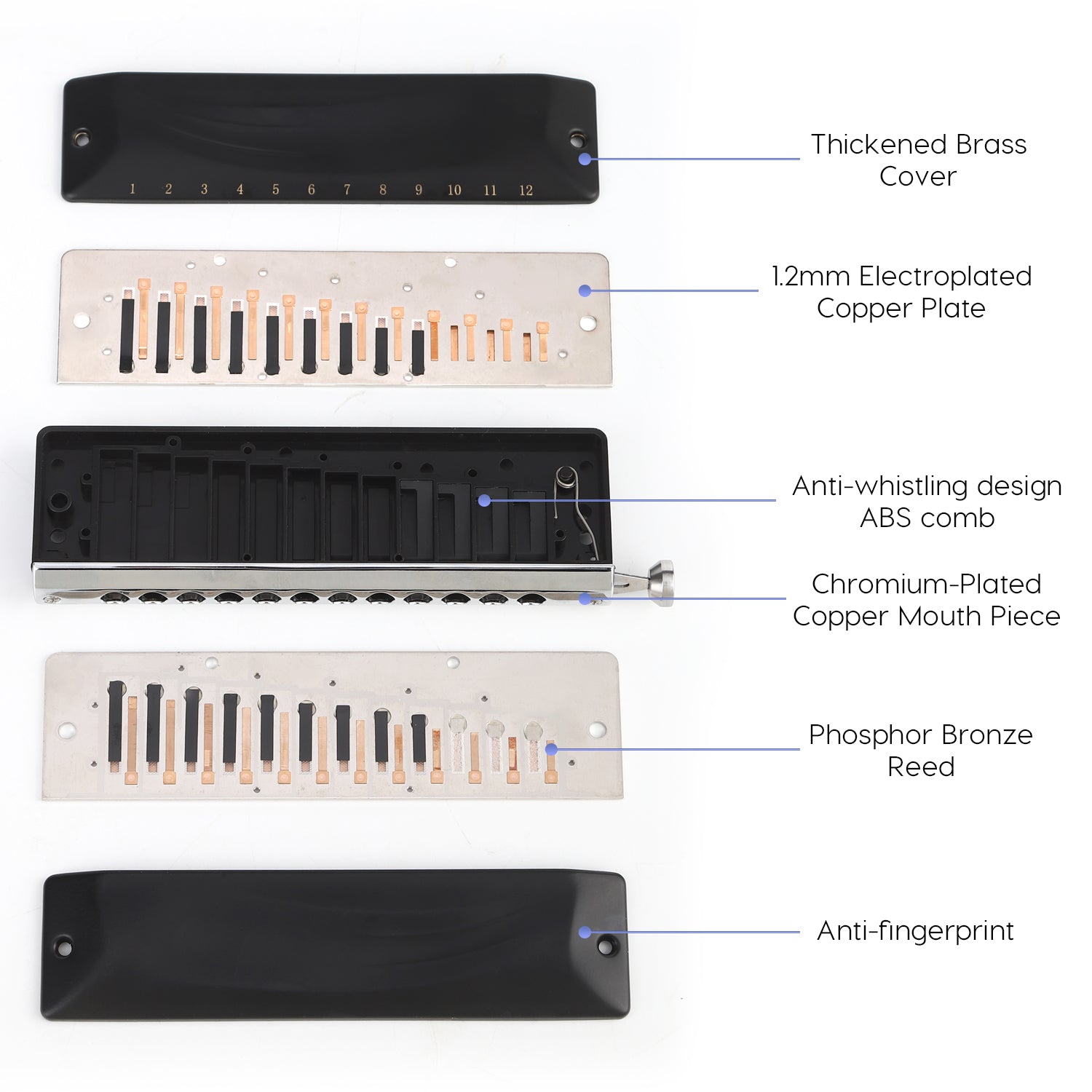 GM0648 chromatic harmonica features phosphor bronze reeds, durable valves, a copper-chromed mouthpiece, waterproof ABS comb with anti-whistling 4th hole.