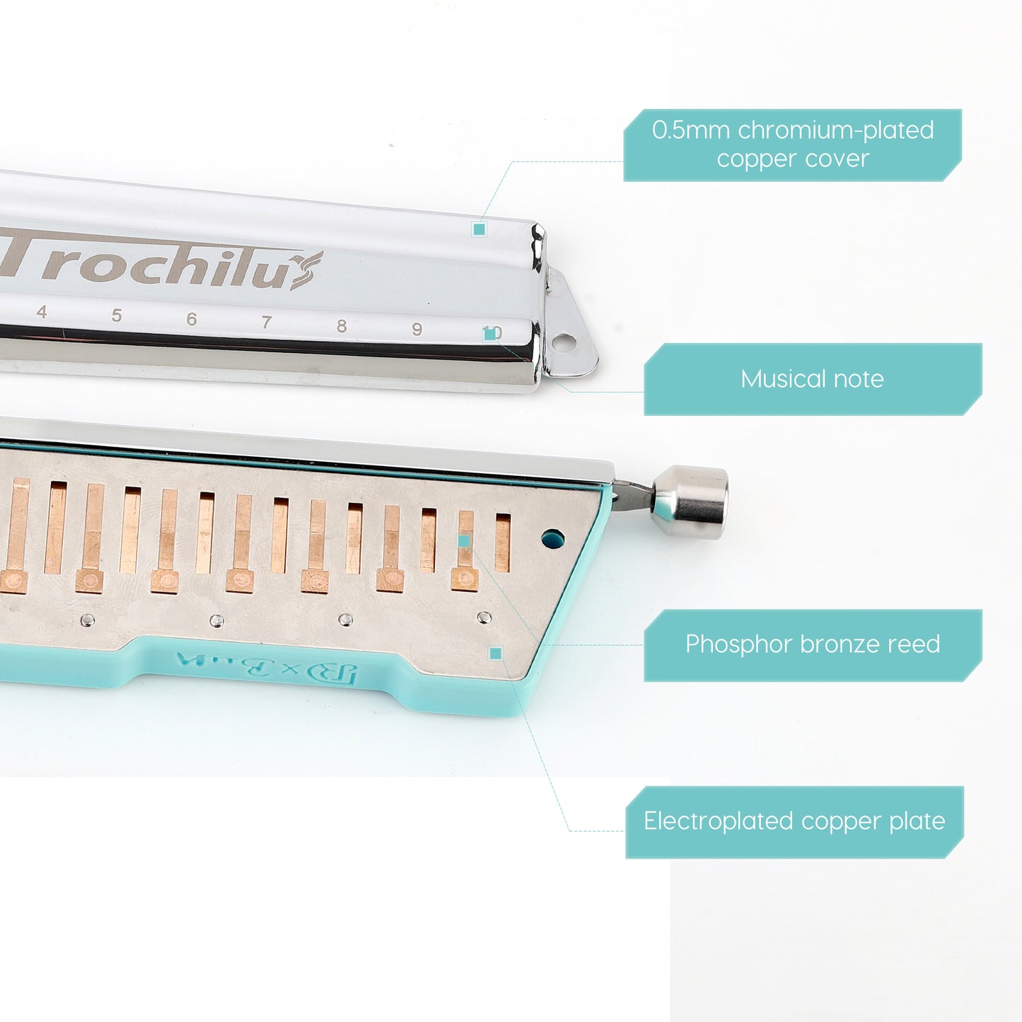 valveless harmonica