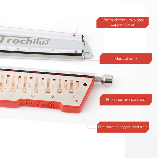 Trochilus Valveless chromatic harmonica with Pop tuning. Compact, bendable, and ideal for all levels. Includes case and cleaning cloth key of C/G/A/Bb 