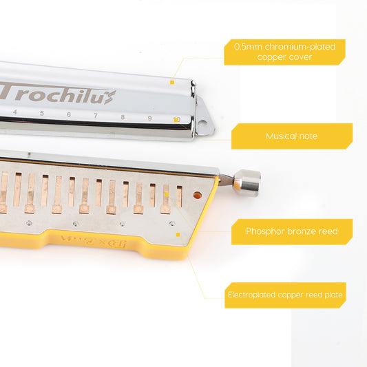 Trochilus Valveless chromatic harmonica with Solo tuning. Compact, bendable, and ideal for all levels. Includes case and cleaning cloth key of C/C6/G/A/Bb 
