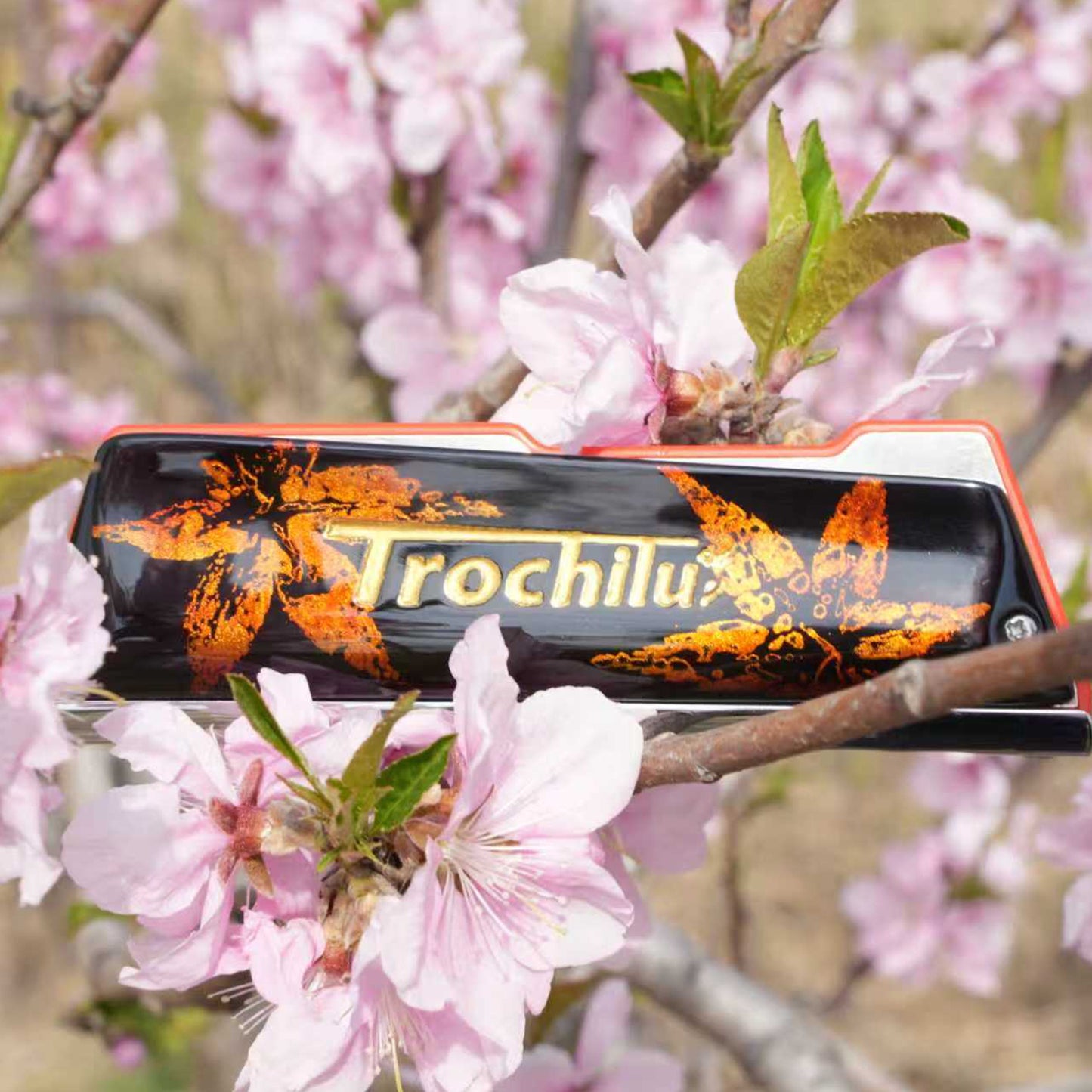 JDR Trochilus Harmonica Raw Lacquer Sandalwood Cover